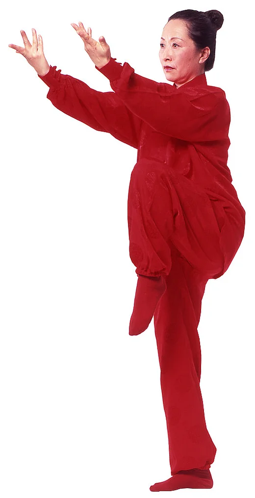 Titelbild für die Veranstaltung QiGong - TaiJi Quan - Meditation nach der TCM