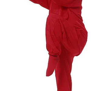 Titelbild für die Veranstaltung QiGong - TaiJi Quan - Meditation nach der TCM